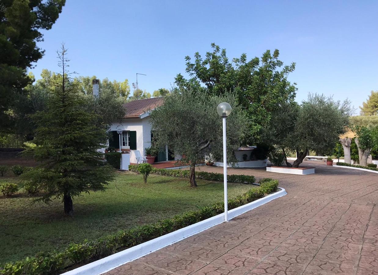 Villa Il Carrubo - Basilicata 피스티치 외부 사진