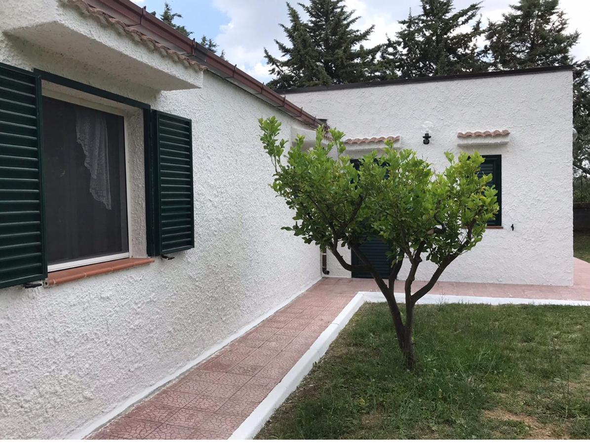 Villa Il Carrubo - Basilicata 피스티치 외부 사진