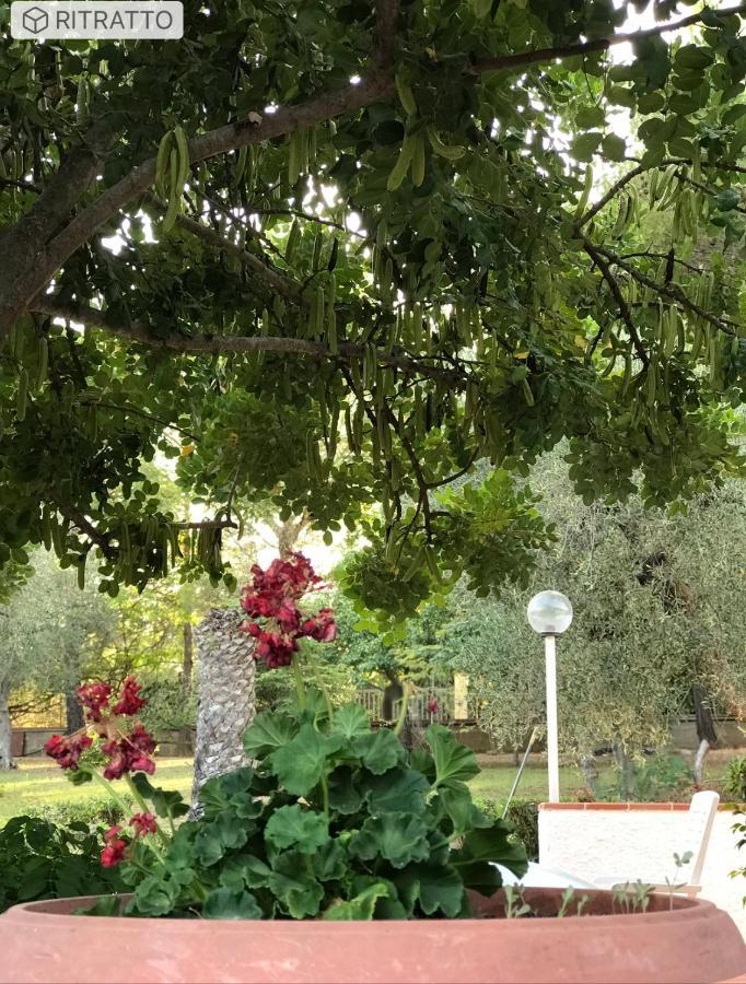 Villa Il Carrubo - Basilicata 피스티치 외부 사진